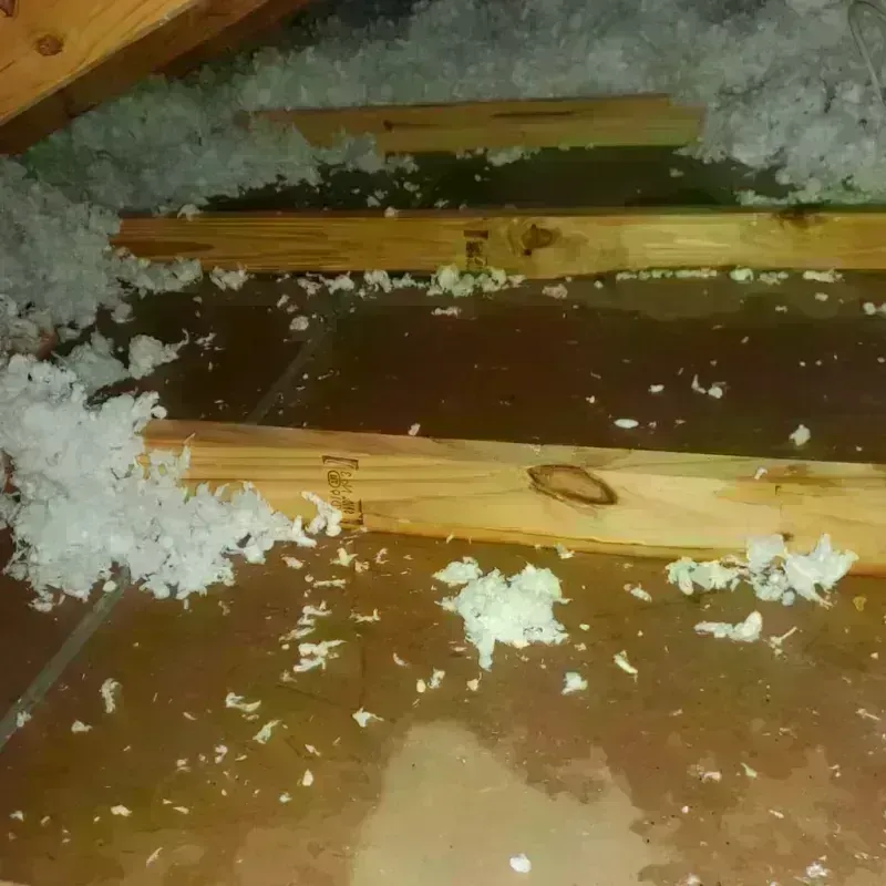 Attic Water Damage in Northwest Harwich, MA